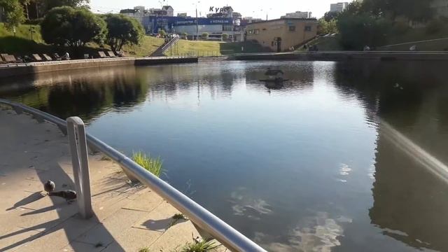 Влог.В сердце навсегда🙏Жизнь  продолжается.😌Чайки кружат...
