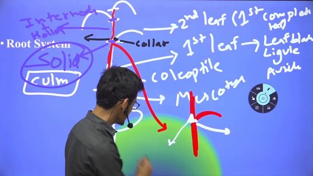 Mastering Rice Morphology | Get the Edge Series |