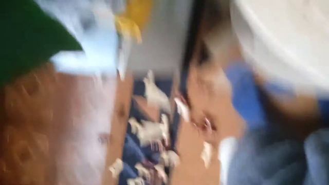 Что есть на шах матней доске