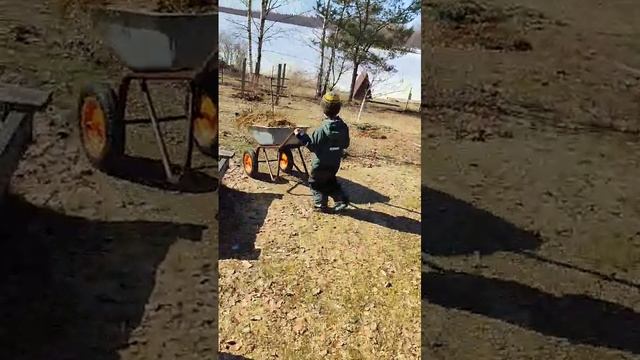 крыжовник, помощь маме