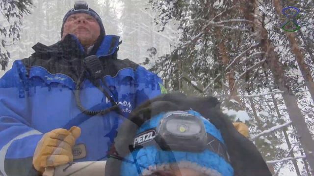 Карелия Собачьи упряжки. Хаски. Зима отдых в Калевала