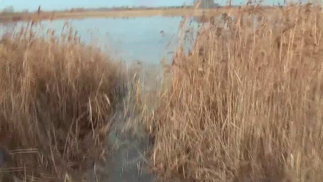 27.10.24г прогклка после дождя