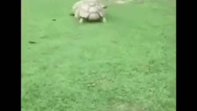 Наши одноклассники