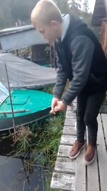 Щука #природа #рыбалка #fishinglife #fishing #shortvideo #новости #fish #top #спиннинг #окунь #щука