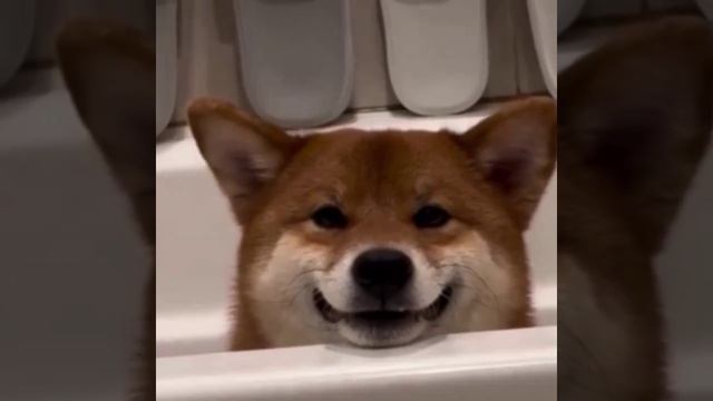 VID_20250325_165424_794