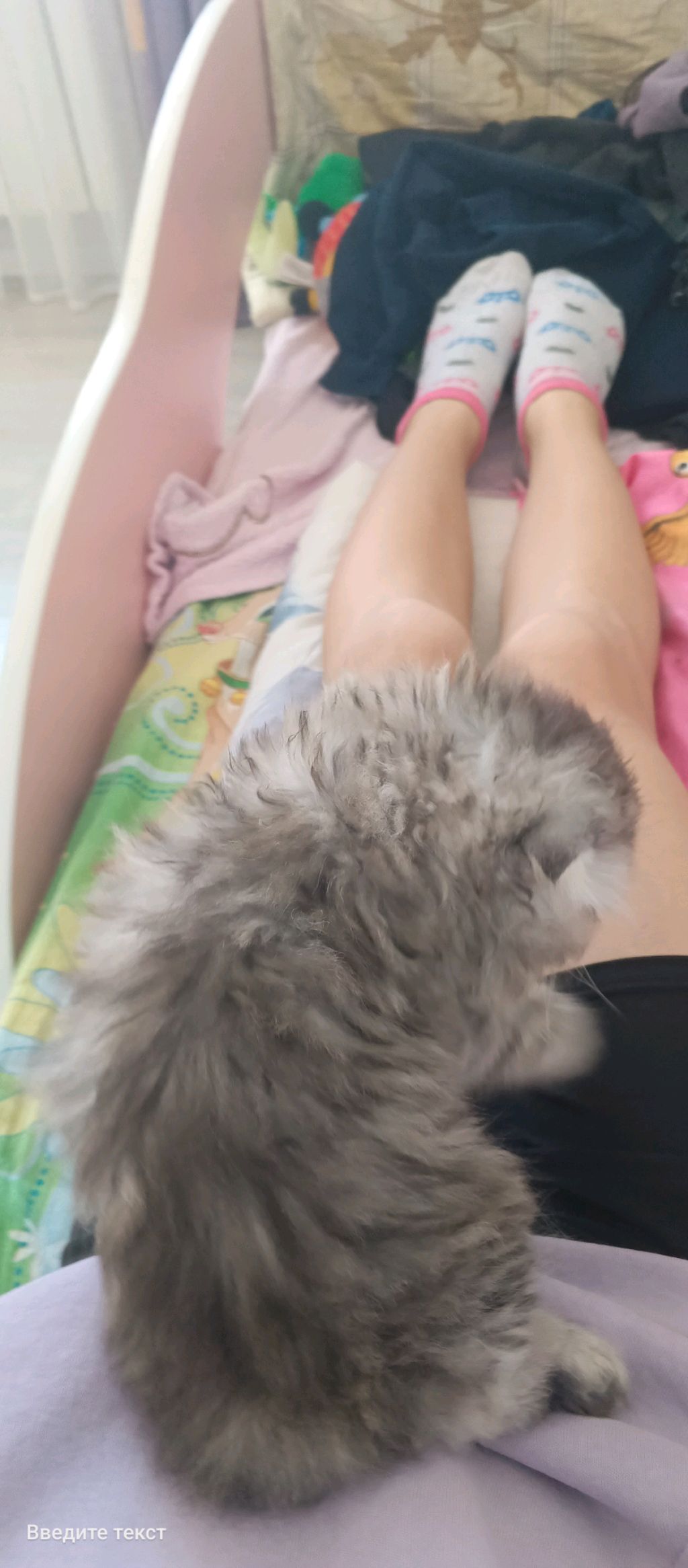 🐆
