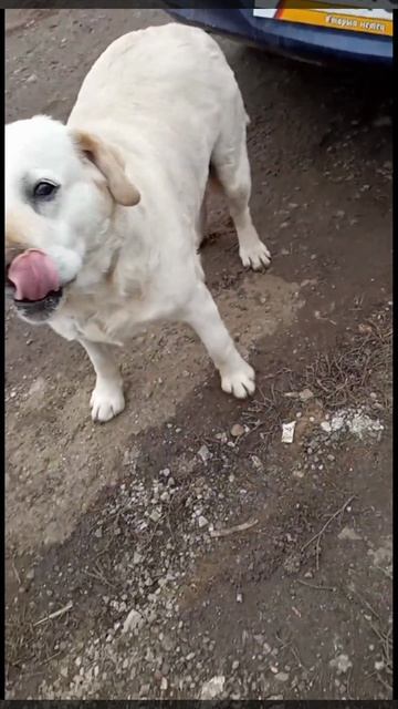 1000033909.mp4