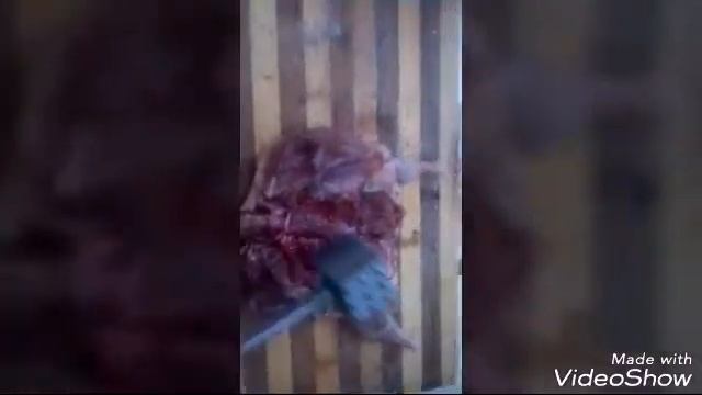 Жареная парепелка под прессом
