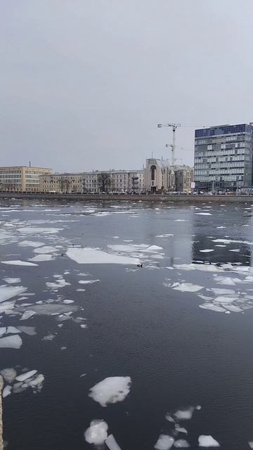 ледоход на Неве и её притоках (Санкт-Петербург)