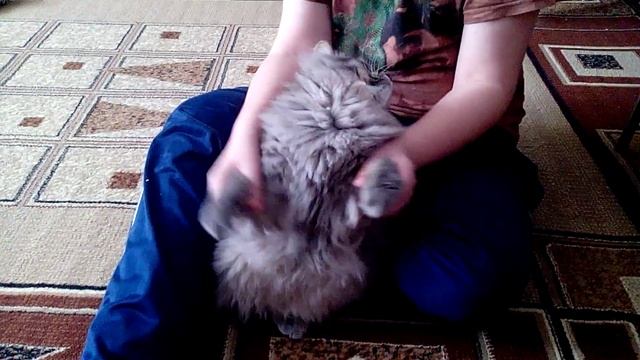 Масса от пончика