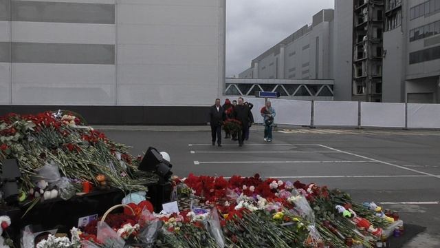АНР-Крокус-25.03.25