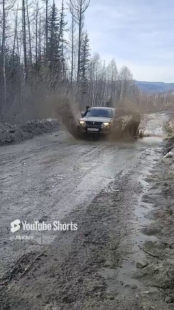 хорошо что в тайге нет пешеходов