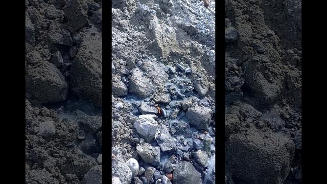 Фото-видео экскурсия по Горному Алтаю