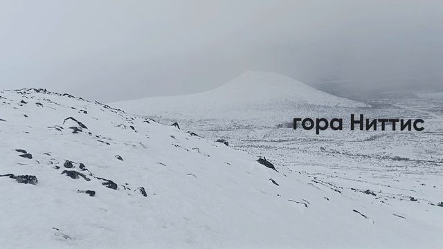Вонючая буря