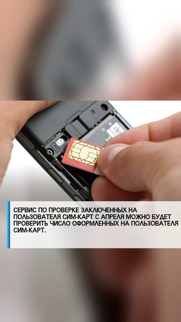Политика России — всегда в центре внимания! 🇷🇺🔥
