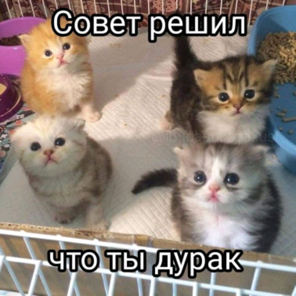поговорим