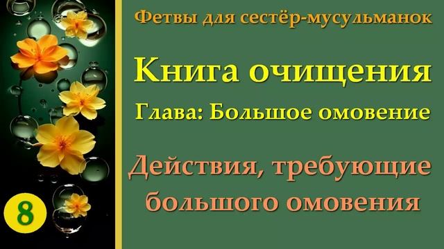 8. Книга Очищения (Действия, требующие большого омовения)