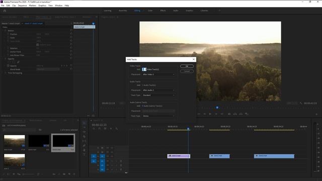 AMAZING! Video In Video REVEAL TRANSITION EFFECT | PREMIERE PRO TUTORIAL