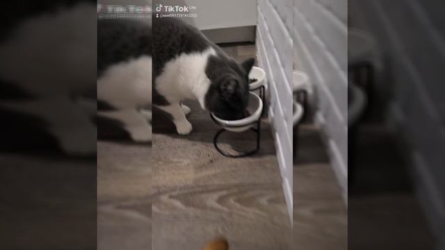 1000158340.mp4
