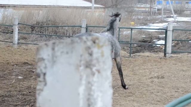 Блюз сам себя тренирует