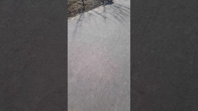 катаемся по улице (часть 2)