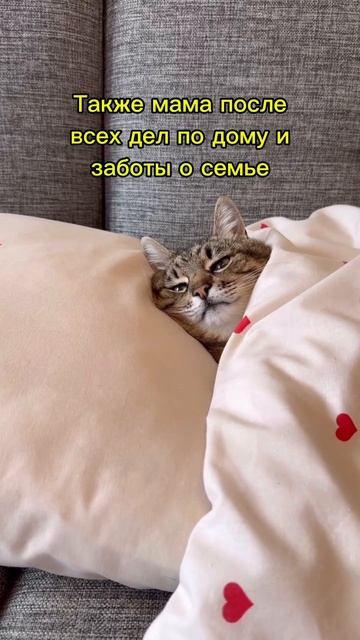 День, когда мама решила быть продуктивной