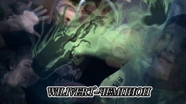 WILIVERT-ЧЕМПИОН