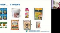 Growing Tomatoes in Your Home Garden - Webinar Edited for Brevity