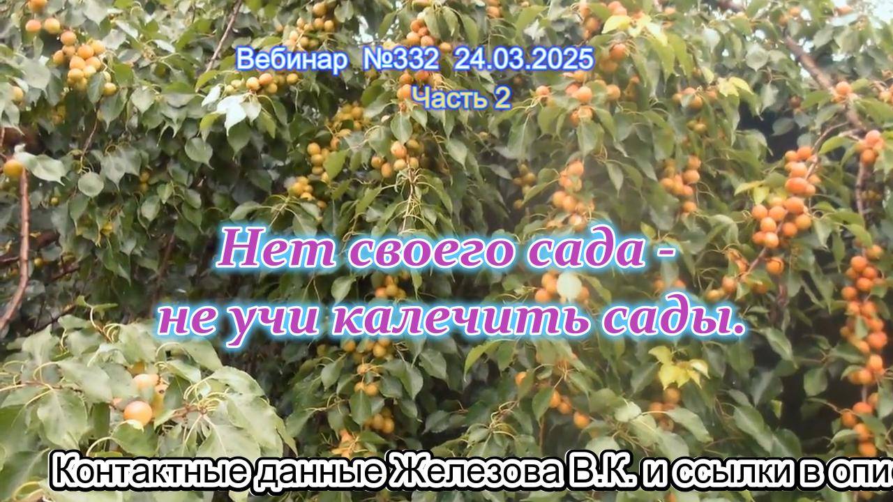 Железов Валерий. Вебинар 332. ч.2. Нет своего сада - не учи калечить сады.