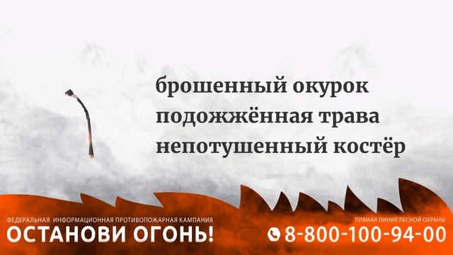 Лесные пожары