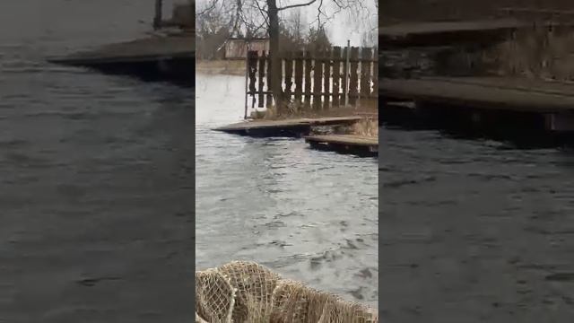 25-03-2025г. крх"Серебряная Чаша" на Киевке.