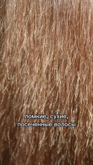 арт. на фен с насадкой для разглаживания на wb: 166068075