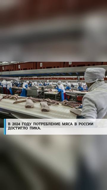 Политика России — это твёрдость, стратегический расчёт и защита национальных интересов! 🇷🇺💬