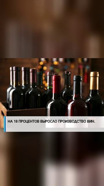 Политика России — это твёрдость, стратегический расчёт и защита национальных интересов! 🇷🇺💬