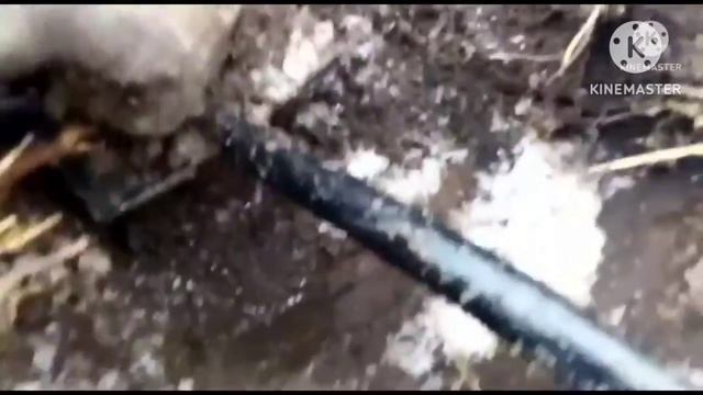 Первые сигналы в Марте🪏⛏️⚒️