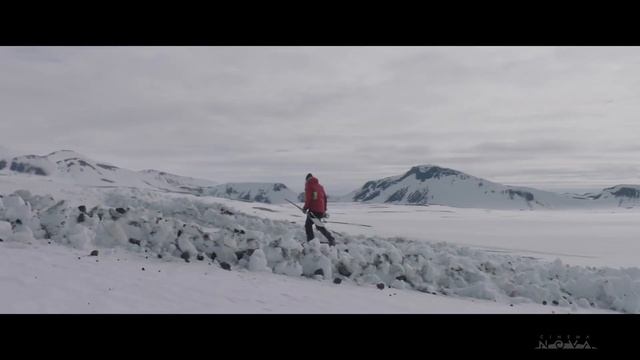 David Stratton Recommends - Arctic