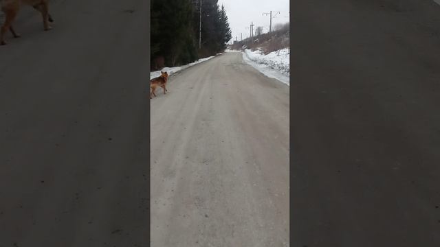 VID_20250324_131056.mp4