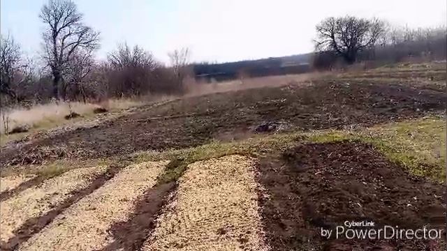 Готовлюсь выносить рассаду в теплицу / Рубрики вопрос ответ больше не будет.