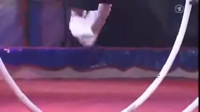 Mouraviev , 33 circus festival monte carlo