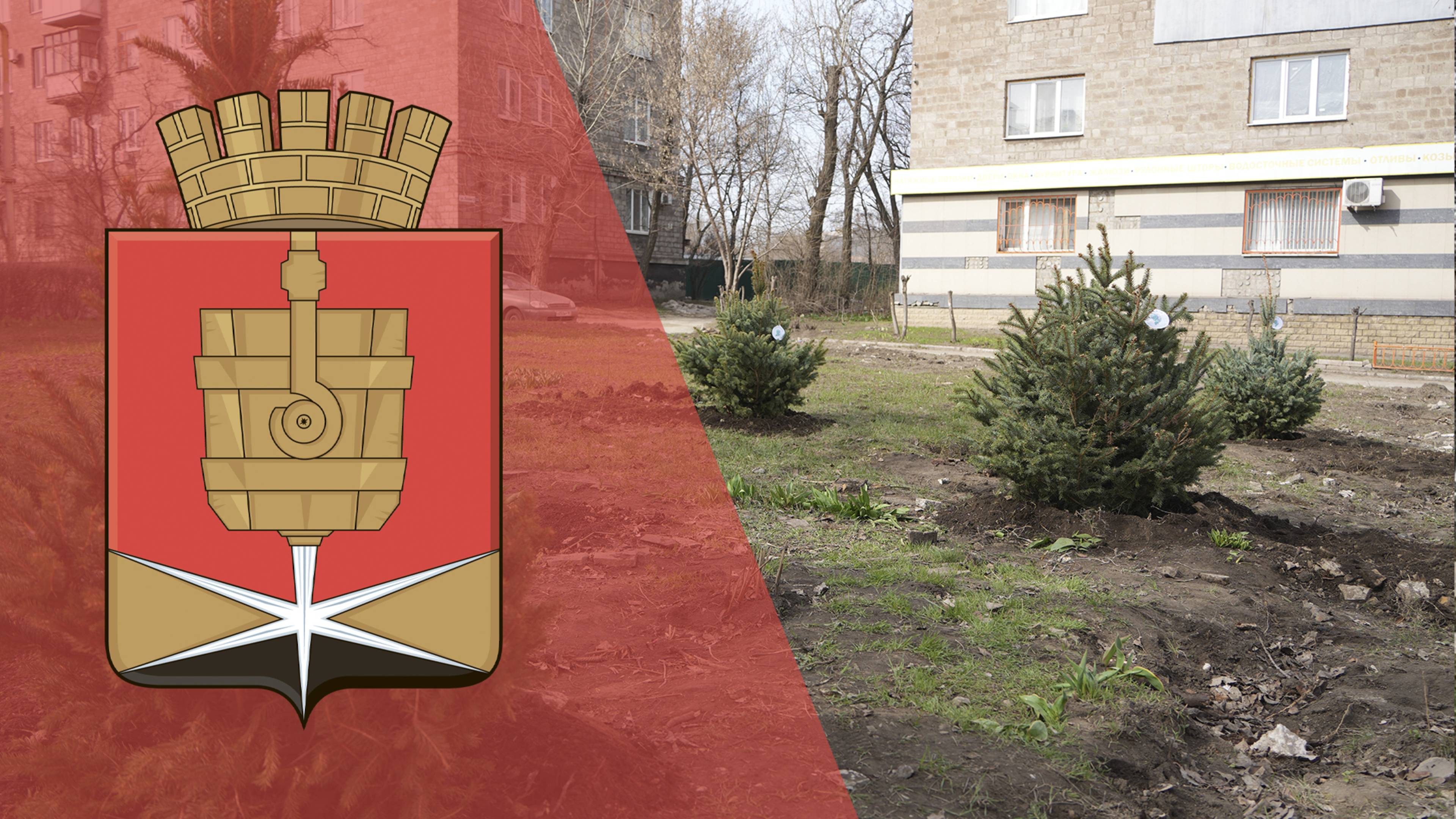 Алчевск присоединился к международной акции «Сад памяти»
