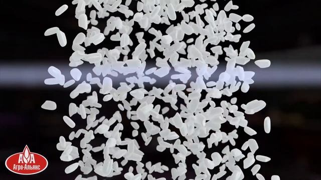 Рис   финал 2 1