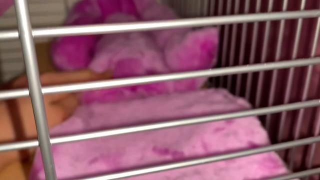 Обзор клетки для крысят🐀✨