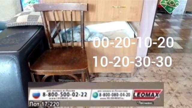 vlc-record-2015-20-10-18h19m17s-Зоо ТВ-