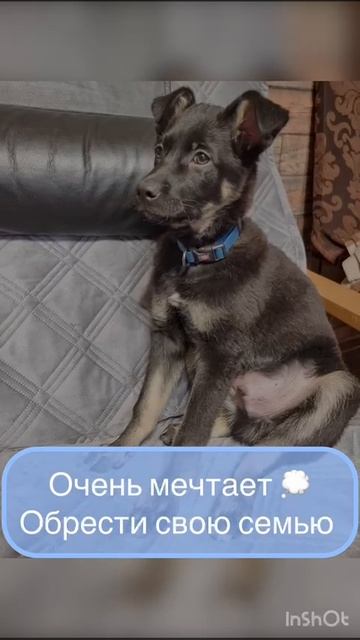 Чёрный бумер.mp4