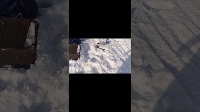 Воркута зимняя рыбалка
