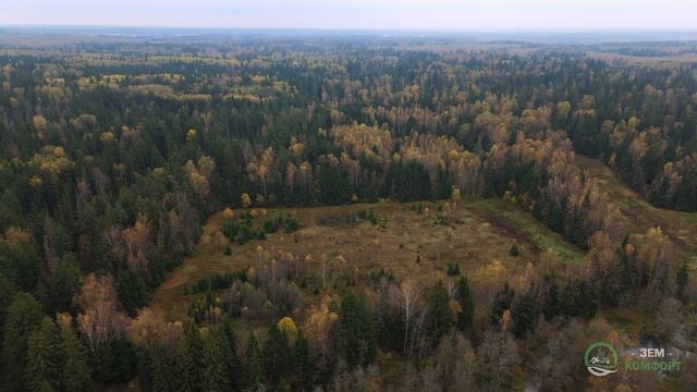 Грибное место - 4K