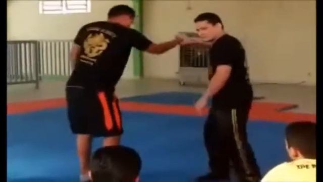 curso dos pontos de acupuntura com aplicações terapêuticas e marciais