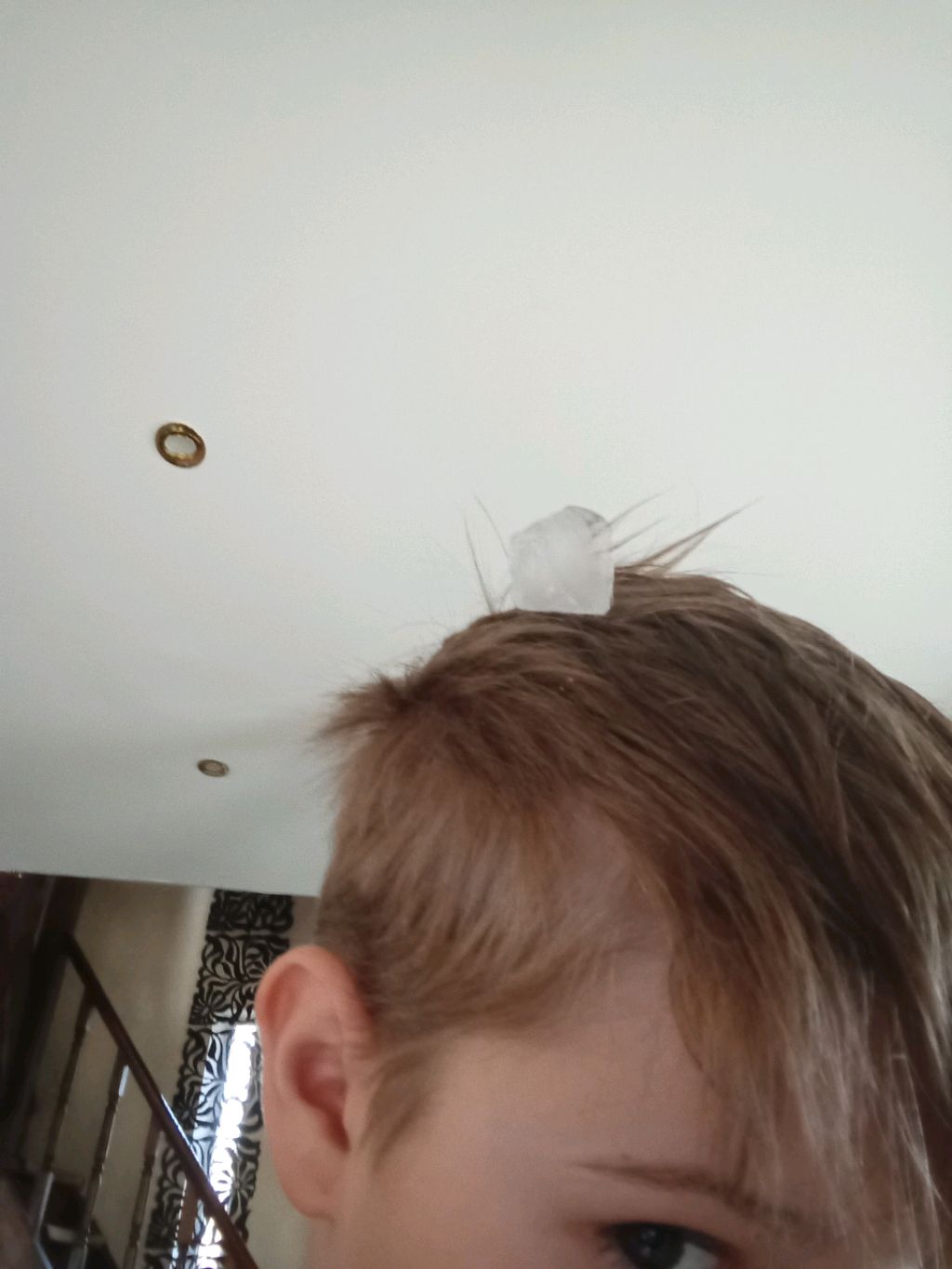 лëддддд