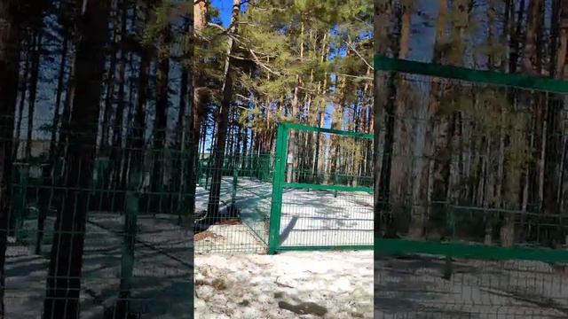 НОВЫЙ СПОСОБ ОТДЫХАТЬ