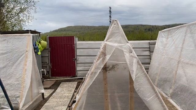 Высадили помидоры// работа в огороде 21.05.23